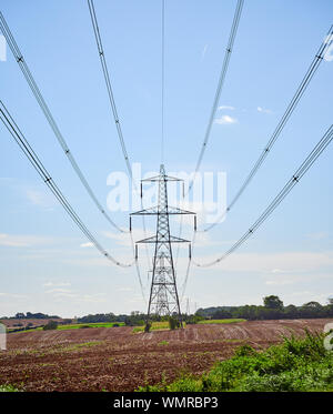 Pylons carrying high tension high voltage electricity cables as part of the national infrastructure across the Lincolnshire countryside landscape Stock Photo