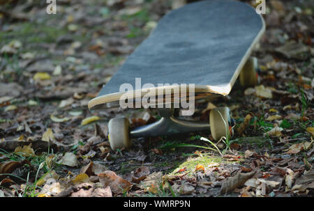 Skateboard on a fallen leaves Stock Photo