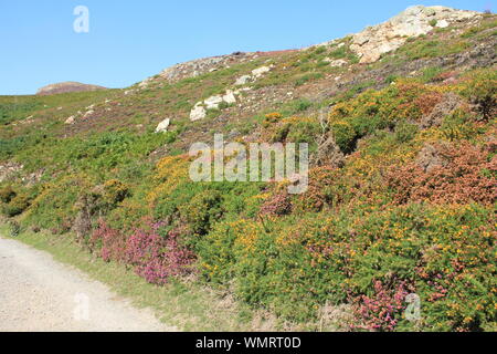 Penmaenmawr, North Wales. United Kingdom Stock Photo