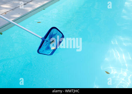 Removing leaves from a domestic swimming pool with a net Stock Photo