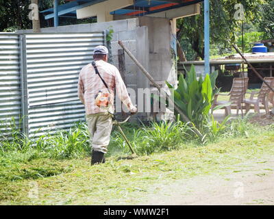 workman gardener trimmer or bushwacker cutting grass along the side of the road verge Stock Photo