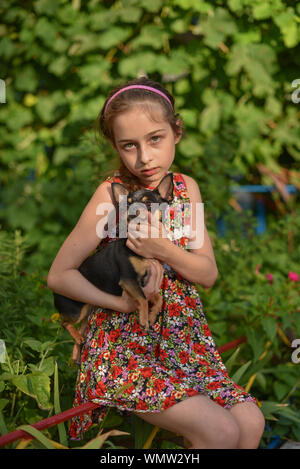 A little girl with her pet chihuahua dog.9 year old baby and chihuahua.A girl in a flower dress on a walk with her pet. A girl on a background of gree Stock Photo