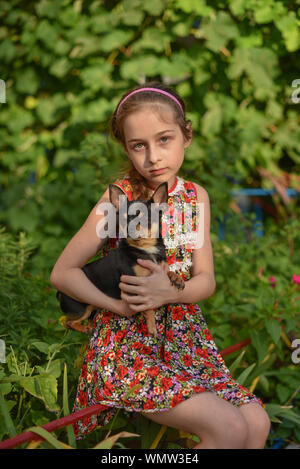 A little girl with her pet chihuahua dog.9 year old baby and chihuahua.A girl in a flower dress on a walk with her pet. A girl on a background of gree Stock Photo