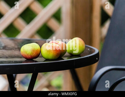 Freshly picked apples on a garden table. Stock Photo