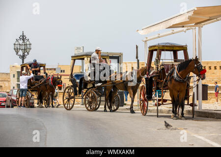 Malta, Valetta, Old Town, horse-drawn carriages await tourists, Stock Photo