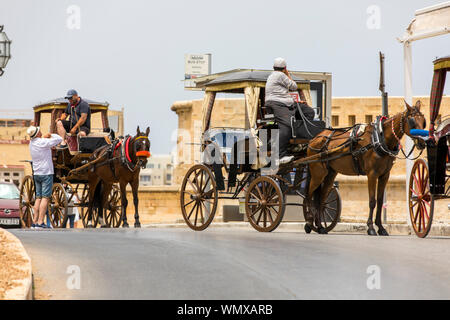 Malta, Valetta, Old Town, horse-drawn carriages await tourists, Stock Photo