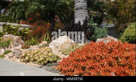 Medium close up of beautifully done drought-tolerant landscaping in a front yard in California Stock Photo