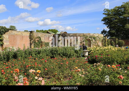 Rose Garden, Hever Castle, Hever, Edenbridge, Kent, England, Great Britain, United Kingdom, UK, Europe Stock Photo