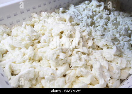 buffalo mozzarella - the essential ingredient prepared and ready for the traditional pizza from Campania Stock Photo