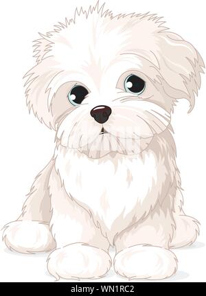 Maltese Puppy Dog Stock Vector