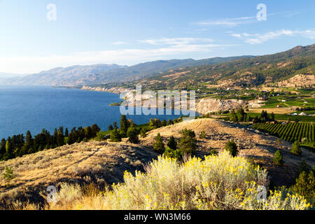 View of the Naramata Bench from Munson Mountain in the Okanagan Valley city of Penticton, British Columbia, Canada. Stock Photo