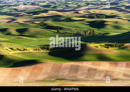 Sunlit wheat fields in the Palouse region of Eastern Washington from Steptoe Butte. Stock Photo