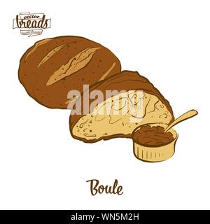 Colored sketches of Boule bread. Vector drawing of Yeast bread food ...
