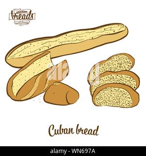 Colored sketches of Cuban bread bread. Vector drawing of Yeast bread ...