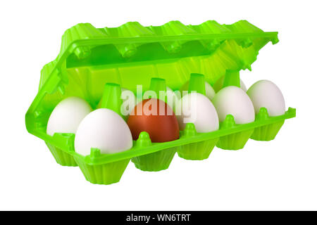 Dozen eggs white and one brown or red in open green plastic package on white background isolated close up side view, eco friendly design, healthy food Stock Photo
