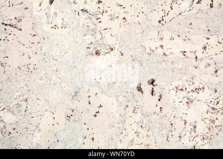 Light beige surface of the cork wood tile closeup, white and brown mottled texture background, abstract gray color decorative spotted pattern Stock Photo