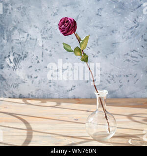 One pink rose flower with long stem and green leaves in glass round vase on wooden table on gray background close up, sun light and beautiful shadows Stock Photo