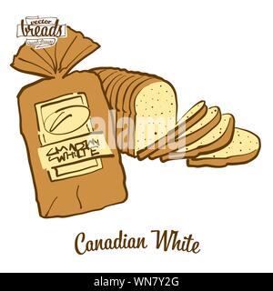 Colored drawing of Canadian White bread. Vector illustration of White food, usually known in Canada. Colored Bread sketches. Stock Vector