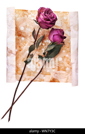 Two burgundy rose flowers on painted crumpled aged paper background close up isolated on white background, holiday invitation or greeting card design Stock Photo