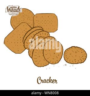 Colored drawing of Cracker bread. Vector illustration of Crispy bread food, usually known in International. Colored Bread sketches. Stock Vector