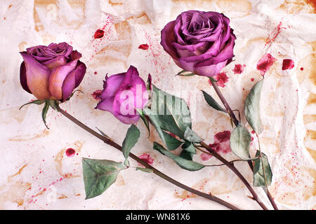 Three burgundy rose flowers on painted crumpled aged paper background close up, holiday invitation or greeting card design, grunge floral arrangement Stock Photo