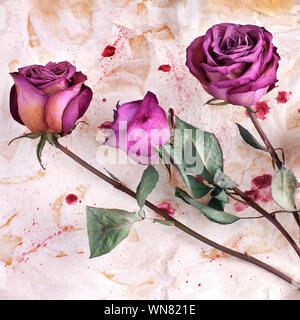 Three burgundy rose flowers on painted crumpled aged paper background close up, holiday invitation or greeting card design, grunge floral arrangement Stock Photo