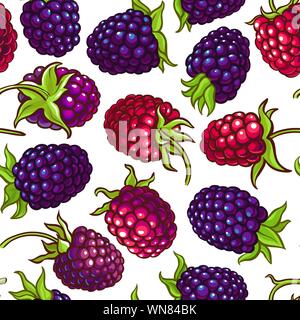 boysenberry vector pattern on white background Stock Vector