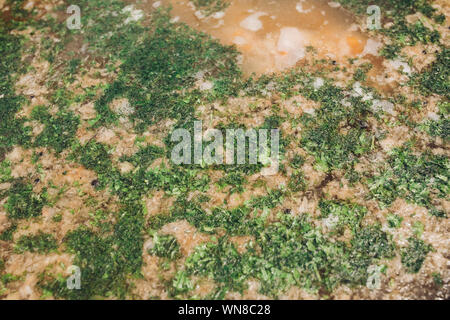Cauldron of delicious soup outdoors.Close-up of tasty meat soup with lots of parsley and dill on the top in cauldron. Stock Photo