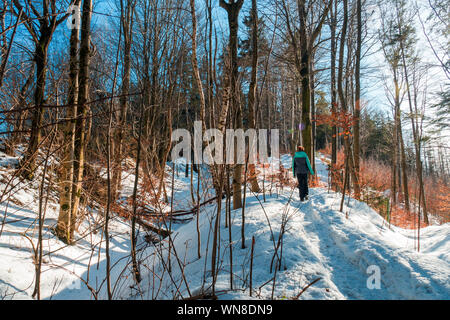 Redhead woman hiking through a scenic winter wonderland in the forest near Zell am Pettenfirst, Austria Stock Photo