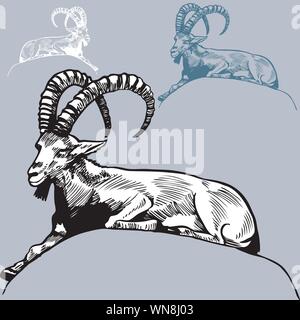 Ram Stock Vector