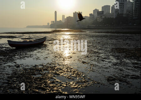 12.12.2011, Mumbai, Maharashtra, India, Asia - Sunset on Chowpatty Beach with the silhouette of the Malabar Hill city skyline in the backdrop. Stock Photo