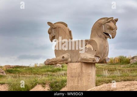 Huma bird capital column, Persepolis, ceremonial capital of Achaemenid Empire, Fars Province, Iran Stock Photo