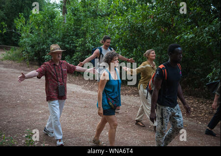 'Forest bathing', bioenergetic experience with Marco Nieri. Villa Ada park, Rome. Italy. Stock Photo