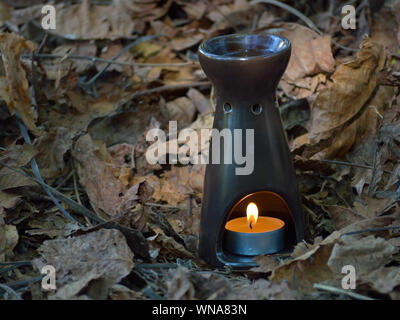 Brown essential oil diffuser, candle holder.. Ceramic oil burner on dried leaves in autumn Stock Photo