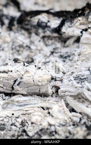 Pile of ashes after the fire went out grunge background texture. Burned out ashes close up outdoors in daylight Stock Photo