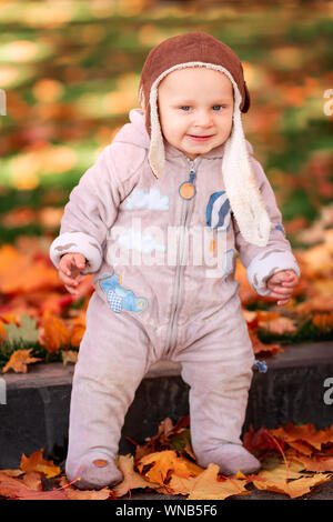 Cute little baby playing in autumn leaves. First autumn Stock Photo