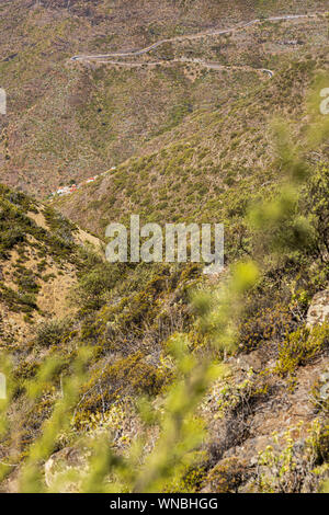 Views from the Monte del Agua over the Teno masif near Erjos, Tenerife, Canary Islands, Spain Stock Photo