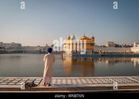 man in turban standing at the golden temple in india Stock Photo