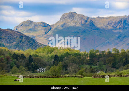 Stunning image of Langdale Pikes with a quaint English cottage in the foreground, Elter Water, near Ambleside, Cumbria, United Kingdom Stock Photo