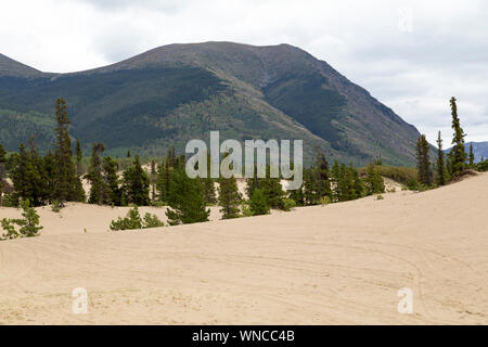 Carcross Desert, Yukon, Canada, the world's smallest desert. Stock Photo