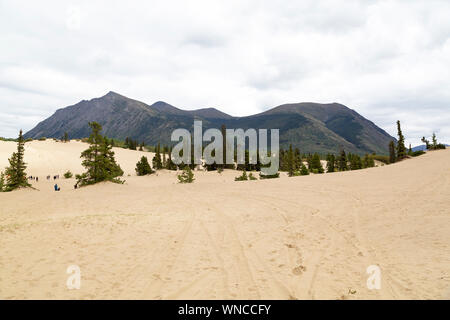 Carcross Desert, Yukon, Canada, the world's smallest desert. Stock Photo