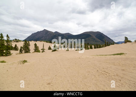 The Carcross Desert in the Yukon, Canada. The arid landscape is the world's smallest desert. Stock Photo