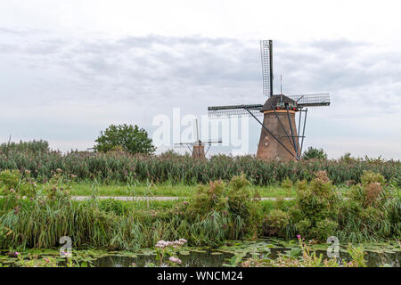 Dutch windmill above the fence of wild grass blown by strong winds Stock Photo