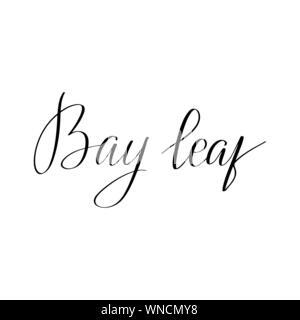 Inspirational handwritten brush lettering . Vector calligraphy illustration Stock Vector