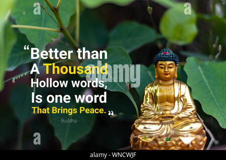 Better than a thousand hollow words, is one word that brings peace - buddha (2) Stock Photo