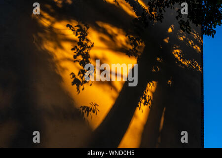 Foliage casting shadows on empty yellow wall with glimpses of the blue sky on the right. Taken on a sunny late afternoon in Fontenay-sous-bois, France Stock Photo
