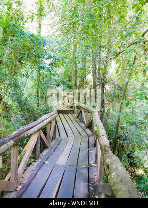 Wooden walkway in Huilo Huilo Biological Reserve, Los Rios Region, Chile. Stock Photo