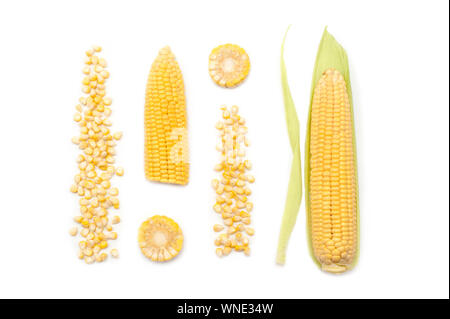 Corn with leaves and  separated seeds isolated.Creative layout made of corn,seeds and leaves. Flat lay. Food concept. Stock Photo