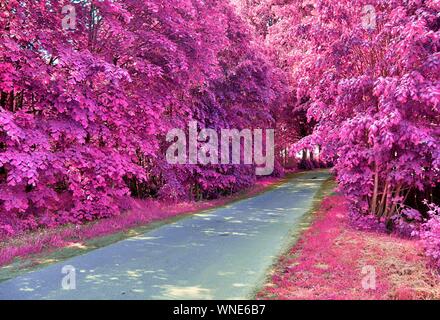 Beautiful pink and purple infrared shots of country landscapes in europe Stock Photo