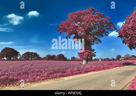 Beautiful pink and purple infrared shots of country landscapes in europe Stock Photo